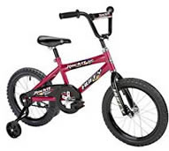 Boy's 16" Bike (Available With or Without Training Wheels)